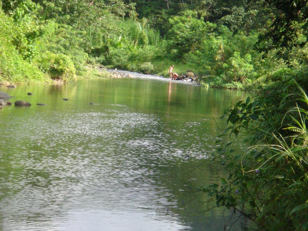 Hibiscus Valley Inn Marigot 객실 사진